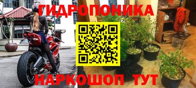 трава Краснознаменск