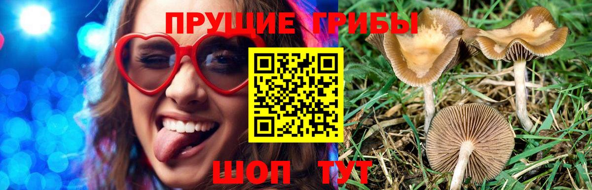 Галлюциногенные грибы Magic Shrooms  Вход с VPN  Дедовск 