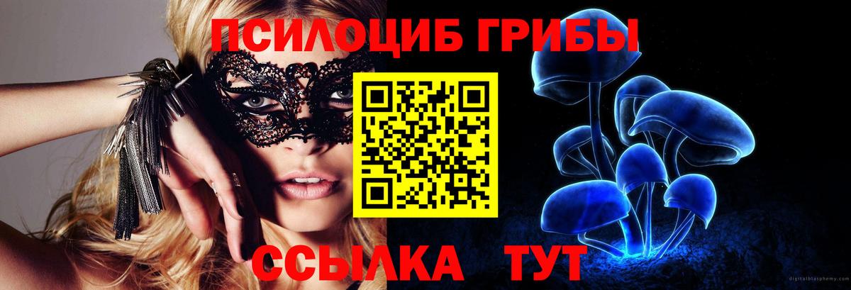 Галлюциногенные грибы MAGIC MUSHROOMS Дедовск
